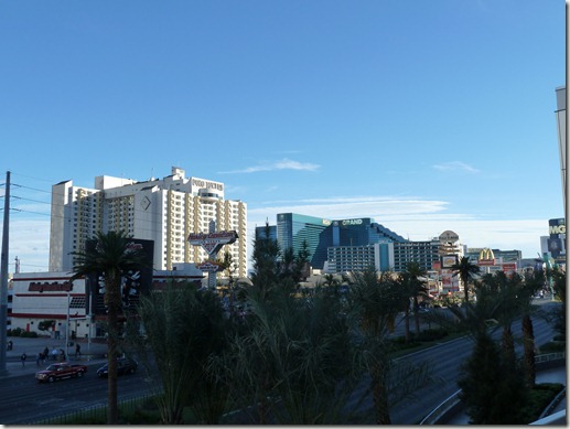 P1010863
