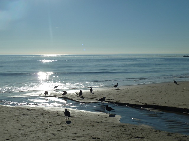 18. Tag – Laguna Beach, dedicated to Caroline