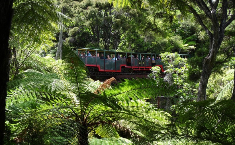 Driving Creek Railway