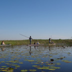 Tag 5 + 6: Von Caprivi  zum Okavango Delta