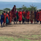 8. Tag – Serengeti , Massai Dorf und Karatu