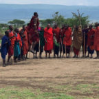 8. Tag – Serengeti , Massai Dorf und Karatu