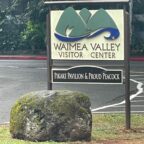 Oahu – 10. Tag – kleine Inselrundfahrt und Waimea Valley