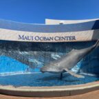 Maui – Tag 22 – Maui Ocean Center